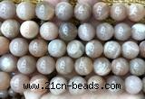 CMS2358 15 inches 12mm round moonstone beads wholesale