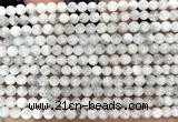 CMS2366 15 inches 4mm round white moonstone beads wholesale