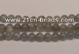 CMS300 15.5 inches 5mm round natural grey moonstone beads wholesale