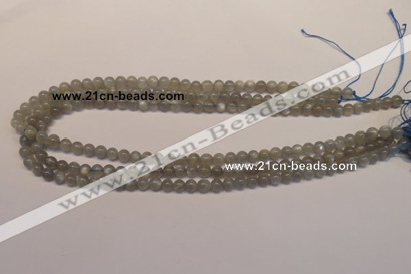 CMS300 15.5 inches 5mm round natural grey moonstone beads wholesale