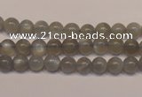 CMS302 15.5 inches 7mm round natural grey moonstone beads wholesale