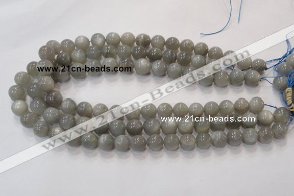 CMS304 15.5 inches 9mm round natural grey moonstone beads wholesale