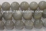 CMS307 15.5 inches 12mm round natural grey moonstone beads wholesale