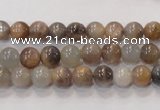 CMS310 15.5 inches 6mm round natural moonstone beads wholesale