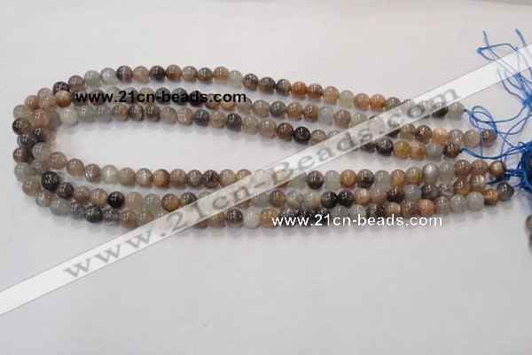 CMS310 15.5 inches 6mm round natural moonstone beads wholesale