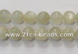 CMS311 15.5 inches 6mm round natural moonstone beads wholesale