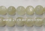 CMS313 15.5 inches 10mm round natural moonstone beads wholesale