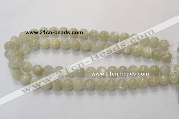 CMS313 15.5 inches 10mm round natural moonstone beads wholesale