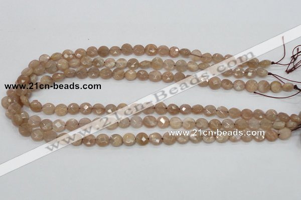 CMS43 15.5 inches 8mm faceted coin moonstone gemstone beads