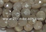 CMS44 15.5 inches 10mm faceted coin moonstone gemstone beads