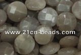 CMS46 15.5 inches 14mm faceted coin moonstone gemstone beads