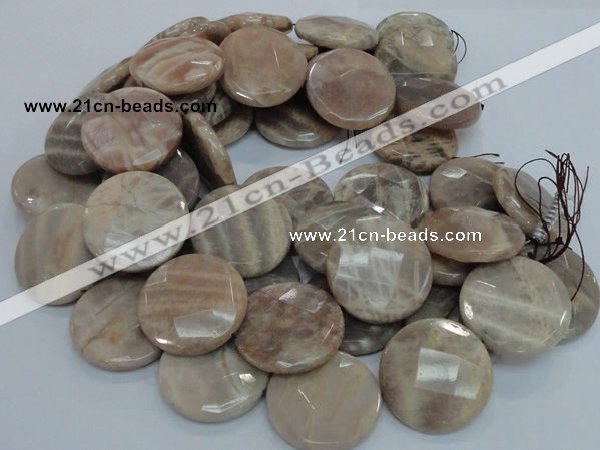 CMS49 15.5 inches 40mm faceted coin moonstone gemstone beads