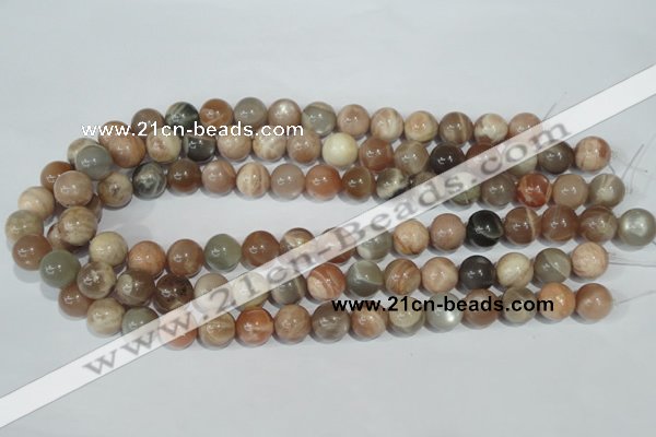 CMS505 15.5 inches 12mm round moonstone beads wholesale