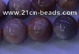 CMS506 15.5 inches 14mm round moonstone beads wholesale