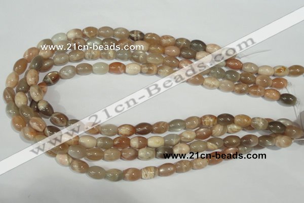 CMS511 15.5 inches 8*12mm rice moonstone beads wholesale