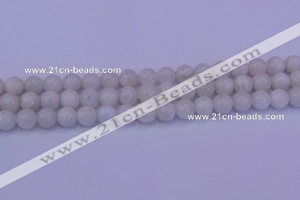 CMS643 15.5 inches 10mm round white moonstone beads wholesale