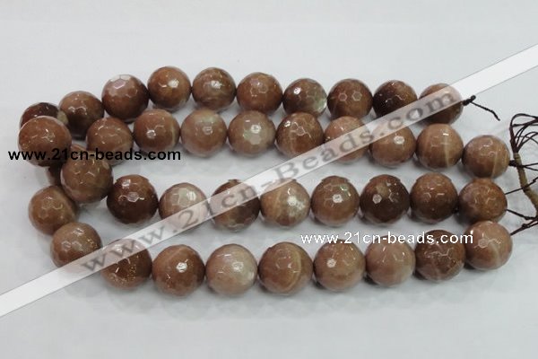 CMS65 15.5 inches 20mm faceted round moonstone gemstone beads