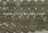 CMS652 15.5 inches 8mm round grey moonstone beads wholesale