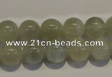 CMS653 15.5 inches 10mm round grey moonstone beads wholesale