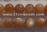 CMS734 15.5 inches 12mm round A grade natural peach moonstone beads