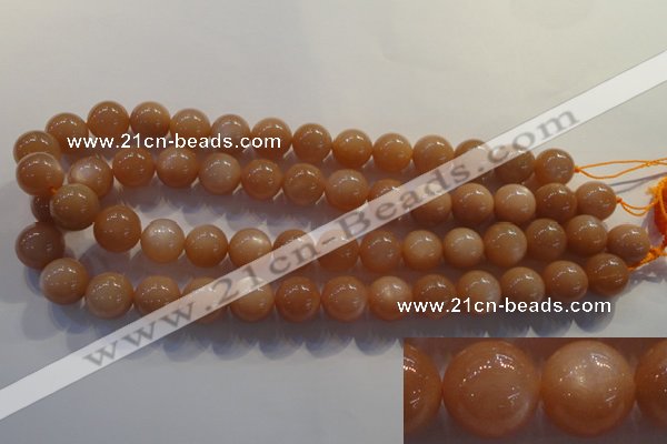 CMS735 15.5 inches 14mm round A grade natural peach moonstone beads