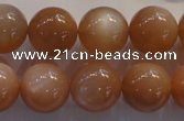 CMS736 15.5 inches 16mm round A grade natural peach moonstone beads