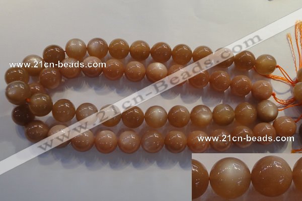 CMS736 15.5 inches 16mm round A grade natural peach moonstone beads