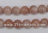 CMS754 15.5 inches 10mm round natural moonstone beads wholesale