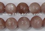 CMS756 15.5 inches 14mm round natural moonstone beads wholesale