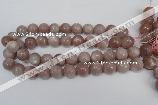 CMS759 15.5 inches 17mm round natural moonstone beads wholesale