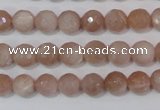 CMS764 15.5 inches 8mm faceted round natural moonstone beads