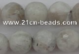 CMS803 15.5 inches 10mm faceted round white moonstone beads