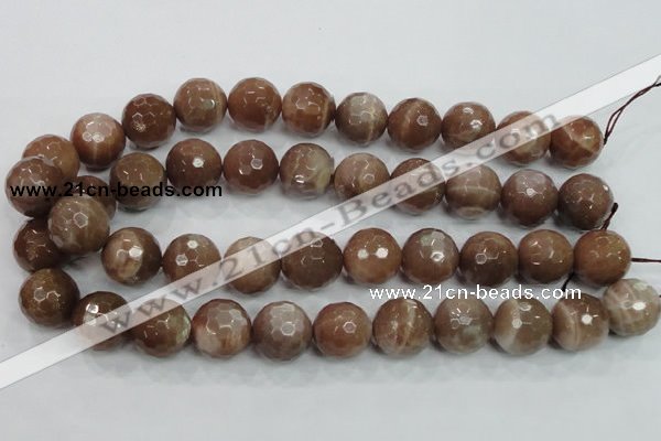 CMS82 15.5 inches 18mm faceted round moonstone gemstone beads