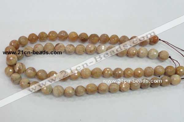 CMS85 15.5 inches 12mm faceted round moonstone gemstone beads