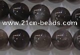 CMS853 15.5 inches 10mm round natural black moonstone beads