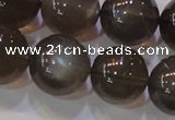 CMS855 15.5 inches 14mm round natural black moonstone beads