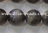 CMS861 15.5 inches 12mm round A grade natural black moonstone beads