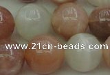 CMS895 15.5 inches 14mm round moonstone gemstone beads wholesale