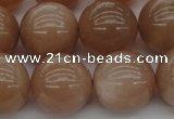 CMS935 15.5 inches 14mm round A grade moonstone gemstone beads