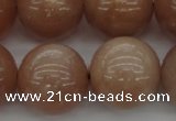 CMS936 15.5 inches 16mm round A grade moonstone gemstone beads