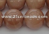 CMS937 15.5 inches 18mm round A grade moonstone gemstone beads