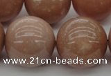 CMS938 15.5 inches 20mm round A grade moonstone gemstone beads