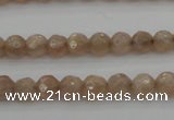 CMS940 15.5 inches 4mm faceted round A grade moonstone gemstone beads