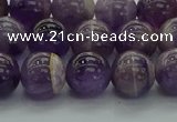 CNA1003 15.5 inches 10mm round dogtooth amethyst beads wholesale