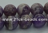 CNA1004 15.5 inches 12mm round dogtooth amethyst beads wholesale