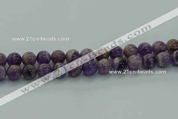 CNA1005 15.5 inches 14mm round dogtooth amethyst beads wholesale