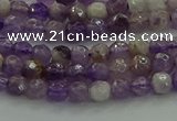 CNA1010 15.5 inches 4mm faceted round dogtooth amethyst beads