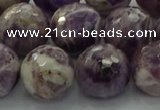 CNA1015 15.5 inches 14mm faceted round dogtooth amethyst beads