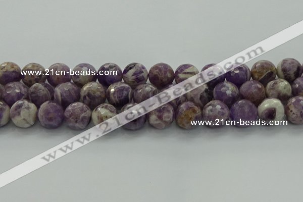 CNA1015 15.5 inches 14mm faceted round dogtooth amethyst beads