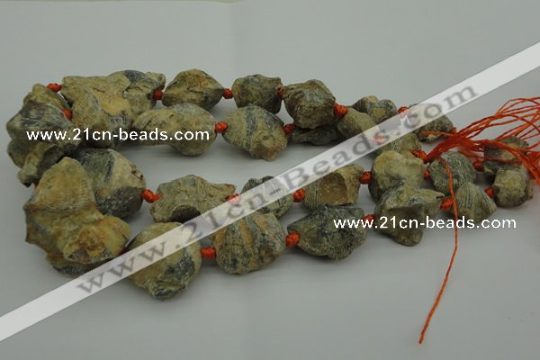 CNG1045 15.5 inches 15*20mm - 25*35mm nuggets inkstone fossil beads